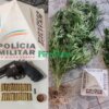 HOMEM É PRESO COM ARMA E PÉS DE MACONHA